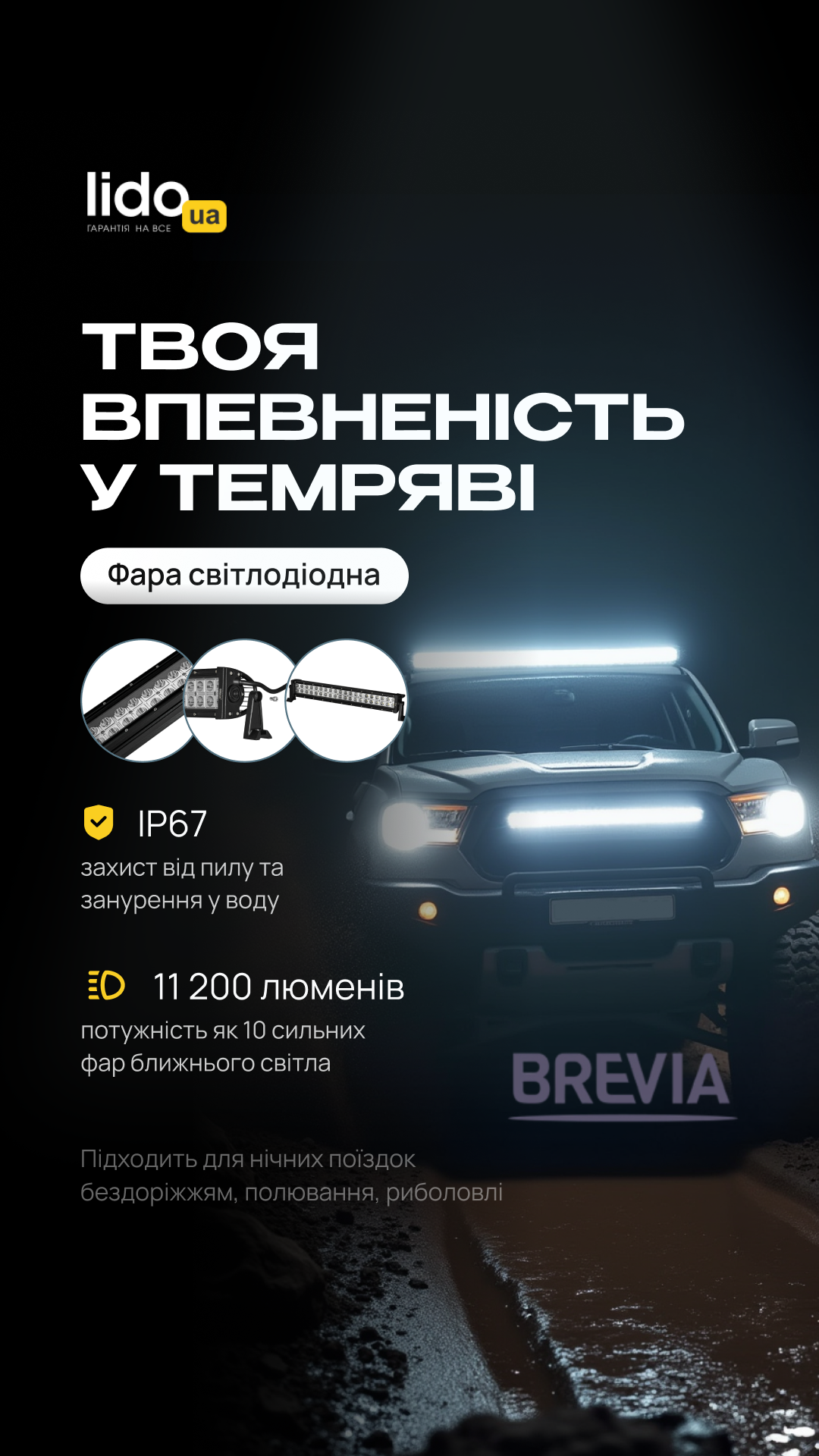 fafabrevia