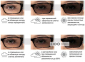 Очки фотохромные защитные Pyramex Ever-Lite прозрачные 6