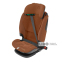Автокресло MAXI-COSI Titan Pro 2 i-Size Authentic Terra 0