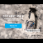 Полироль-молочко для приборной панели Vitol 750мл Black Ice 0