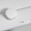 Бездротові навушники Baseus WM01 TWS білі 4