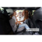 Автокрісло BEBE CONFORT ROAD SAFE i-Size Full Grey 3