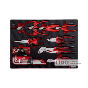 Професійний набір шарнірно-губцевих інструментів Wurth в ложементі  25 шт