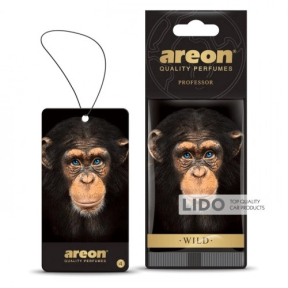 Ароматизатор Areon Wild Professor сухой