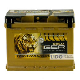 Акумулятор Tiger 62 Аh/12V Gold [- +]
